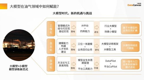 加速AI規(guī)模化應(yīng)用 九章云極DataCanvas亮相中國(guó)石油石化科技創(chuàng)新大會(huì)，展示人工智能基礎(chǔ)軟件新成果