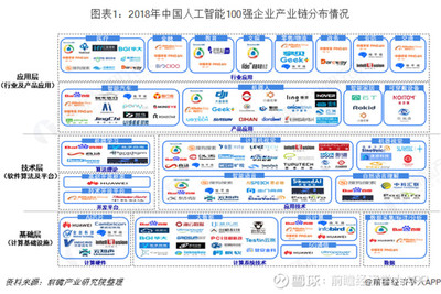 2018年中國(guó)人工智能100強(qiáng)研究 人工智能基礎(chǔ)軟件開(kāi)發(fā)的產(chǎn)業(yè)鏈透視